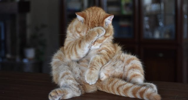 Le syndrome de l’imposteur : l’identifier et le vaincre